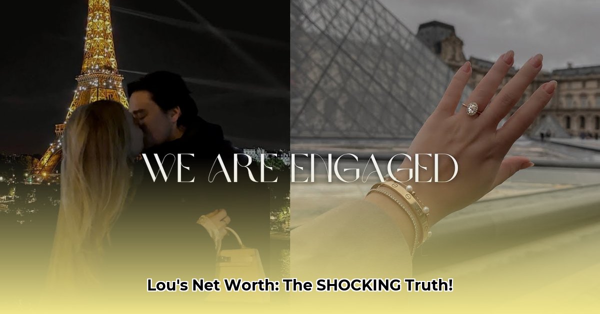 je-suis-lou-net-worth